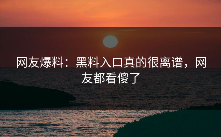 网友爆料：黑料入口真的很离谱，网友都看傻了