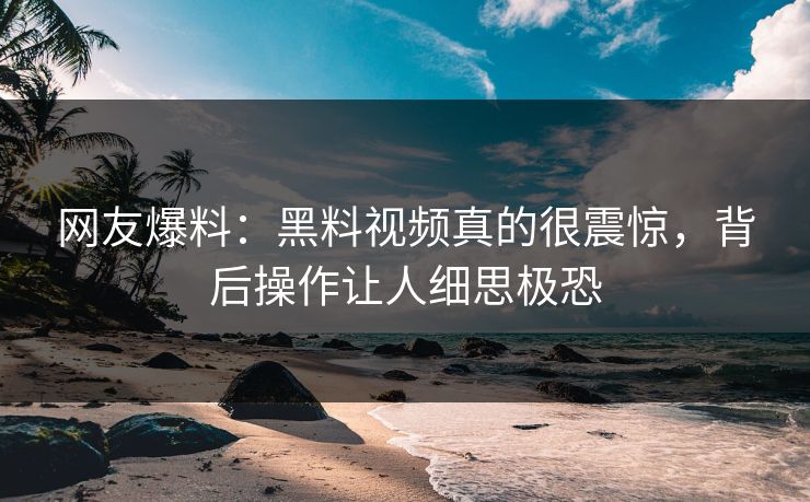 网友爆料：黑料视频真的很震惊，背后操作让人细思极恐