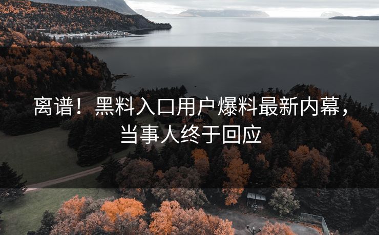 离谱！黑料入口用户爆料最新内幕，当事人终于回应  第1张