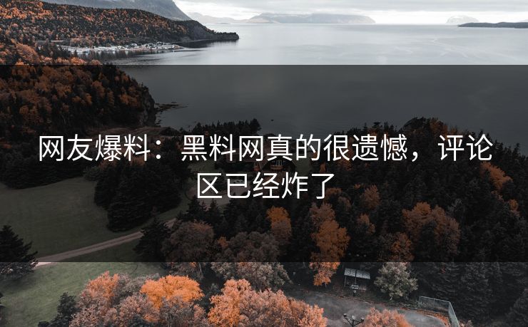 网友爆料：黑料网真的很遗憾，评论区已经炸了  第1张