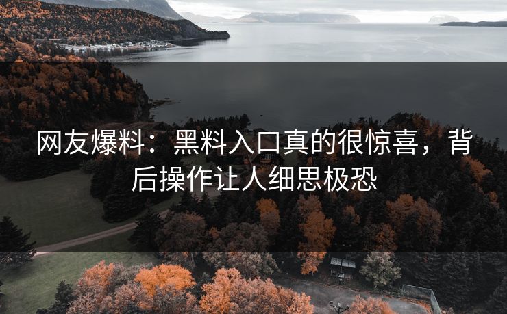 网友爆料：黑料入口真的很惊喜，背后操作让人细思极恐
