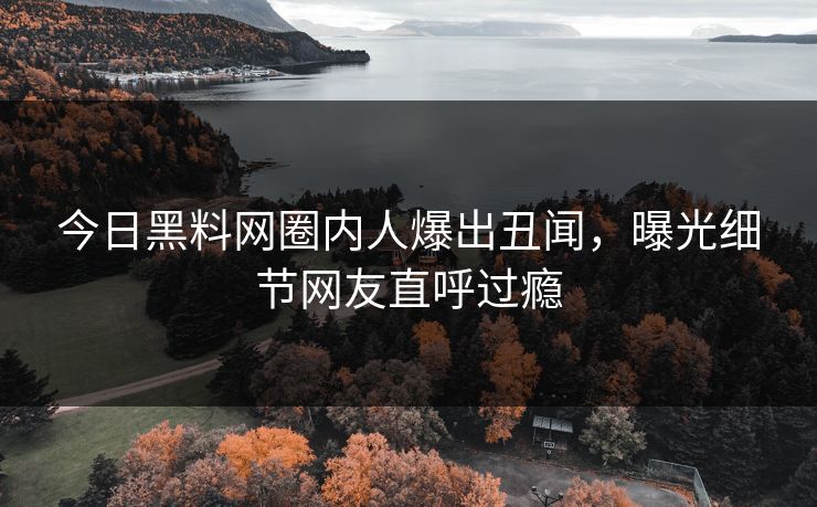 今日黑料网圈内人爆出丑闻，曝光细节网友直呼过瘾