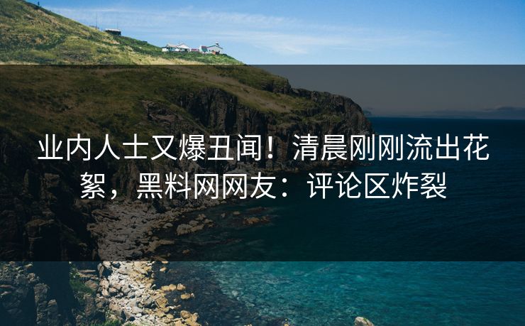 业内人士又爆丑闻！清晨刚刚流出花絮，黑料网网友：评论区炸裂