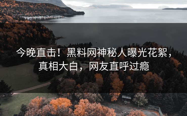 今晚直击！黑料网神秘人曝光花絮，真相大白，网友直呼过瘾