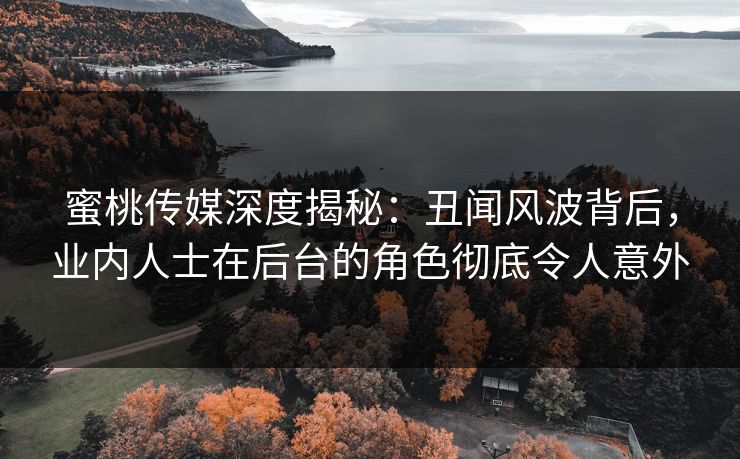 蜜桃传媒深度揭秘：丑闻风波背后，业内人士在后台的角色彻底令人意外