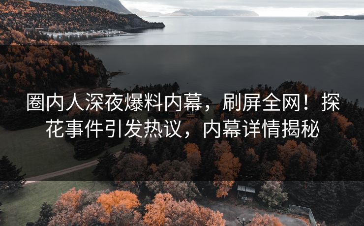 圈内人深夜爆料内幕，刷屏全网！探花事件引发热议，内幕详情揭秘  第1张