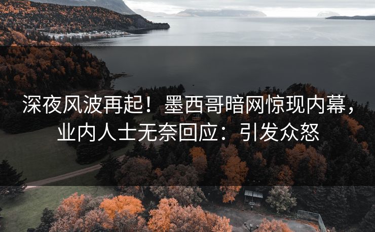 深夜风波再起！墨西哥暗网惊现内幕，业内人士无奈回应：引发众怒