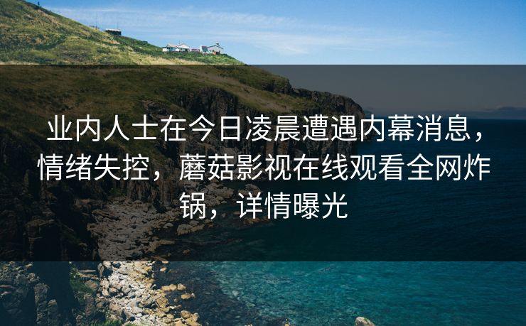 业内人士在今日凌晨遭遇内幕消息，情绪失控，蘑菇影视在线观看全网炸锅，详情曝光