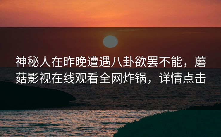 神秘人在昨晚遭遇八卦欲罢不能，蘑菇影视在线观看全网炸锅，详情点击