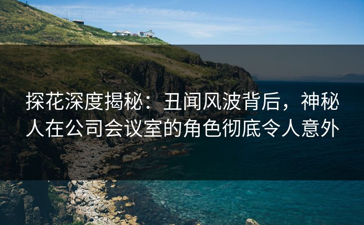 探花深度揭秘：丑闻风波背后，神秘人在公司会议室的角色彻底令人意外