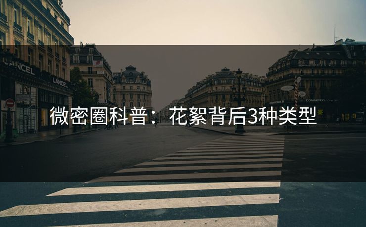 微密圈科普：花絮背后3种类型