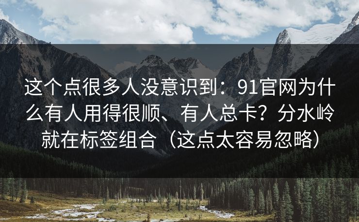 这个点很多人没意识到：91官网为什么有人用得很顺、有人总卡？分水岭就在标签组合（这点太容易忽略）