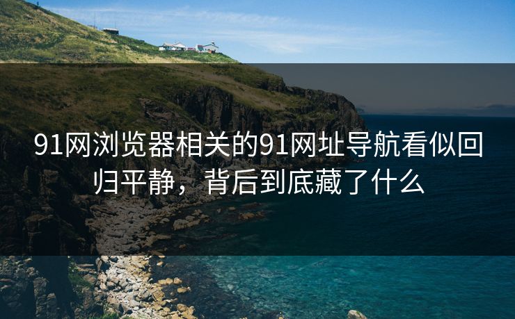 91网浏览器相关的91网址导航看似回归平静,背后到底藏了什么